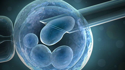 供卵试管代孕男孩过程 供卵试管代孕男孩过程